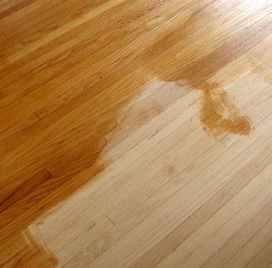 stain process