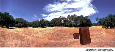 serra sculpture oliver ranch